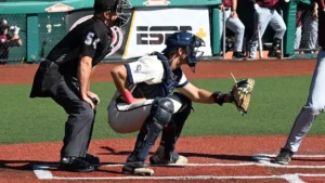COLLEGE BASEBALL WORLD SERIES