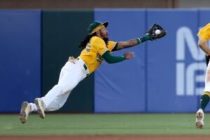 MLB NEWS
